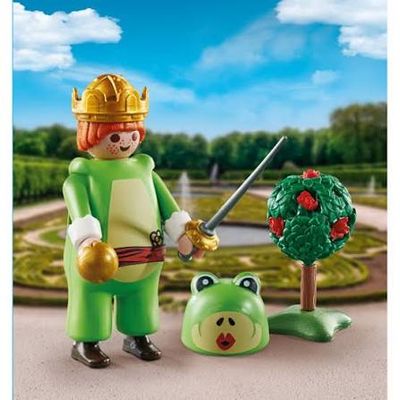 71169 / Prince et deguisement
