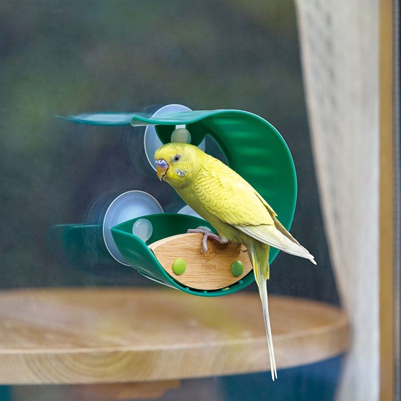 Mangeoire à oiseaux de fenêtre