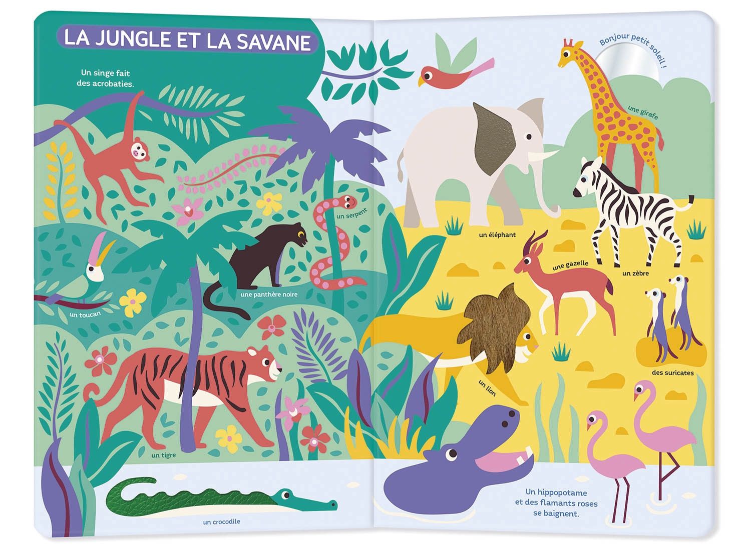 Mon très grand livre d'éveil / Autour du Monde