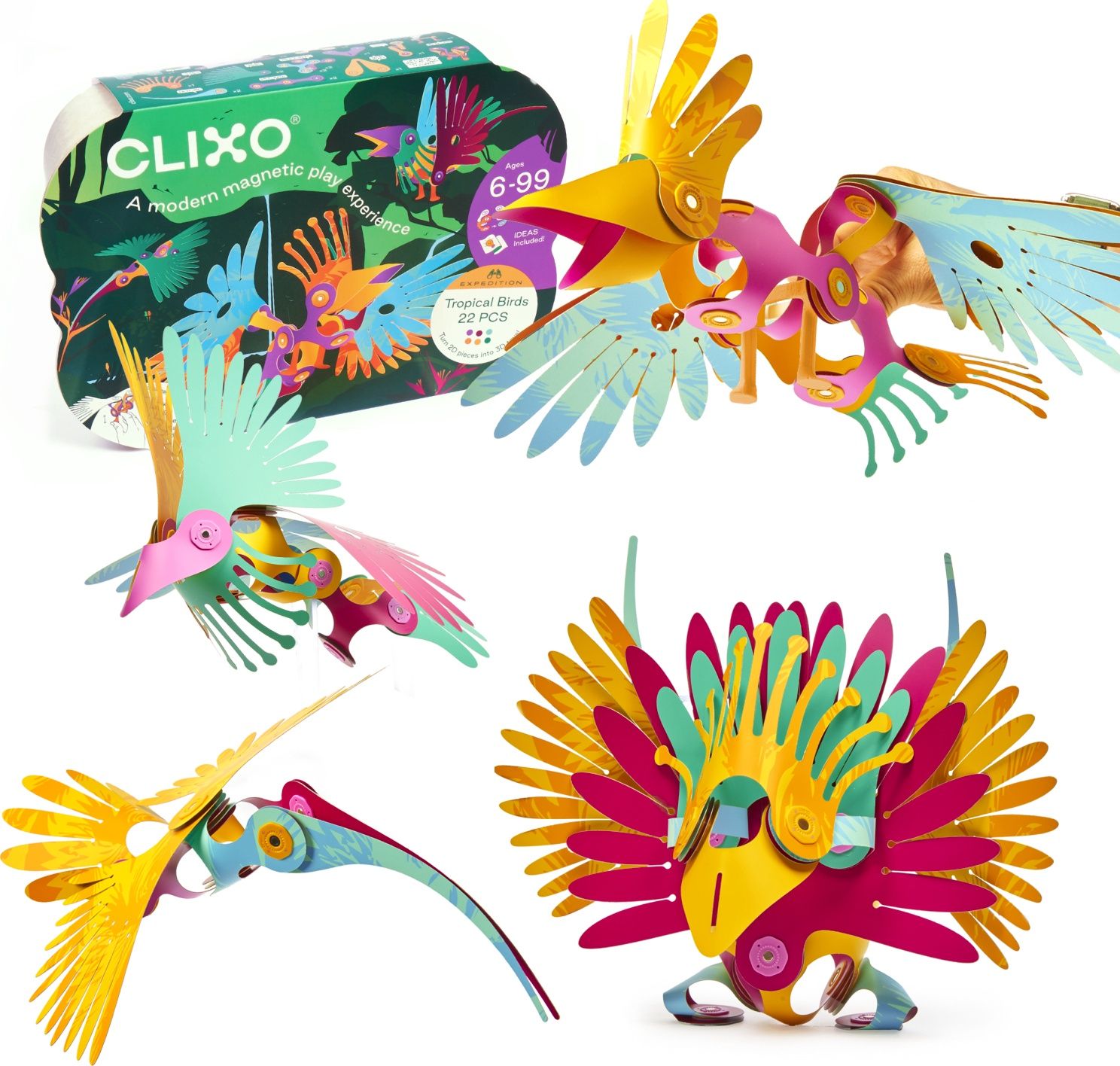 Oiseaux Tropicaux