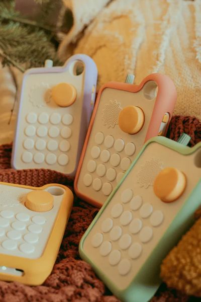 Étui de protection pour Fabli / Sauge