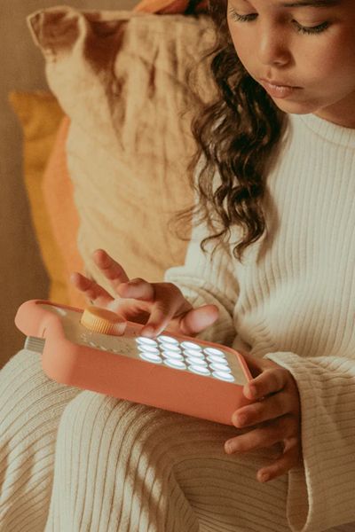 Étui de protection pour Fabli / Rose Canyon