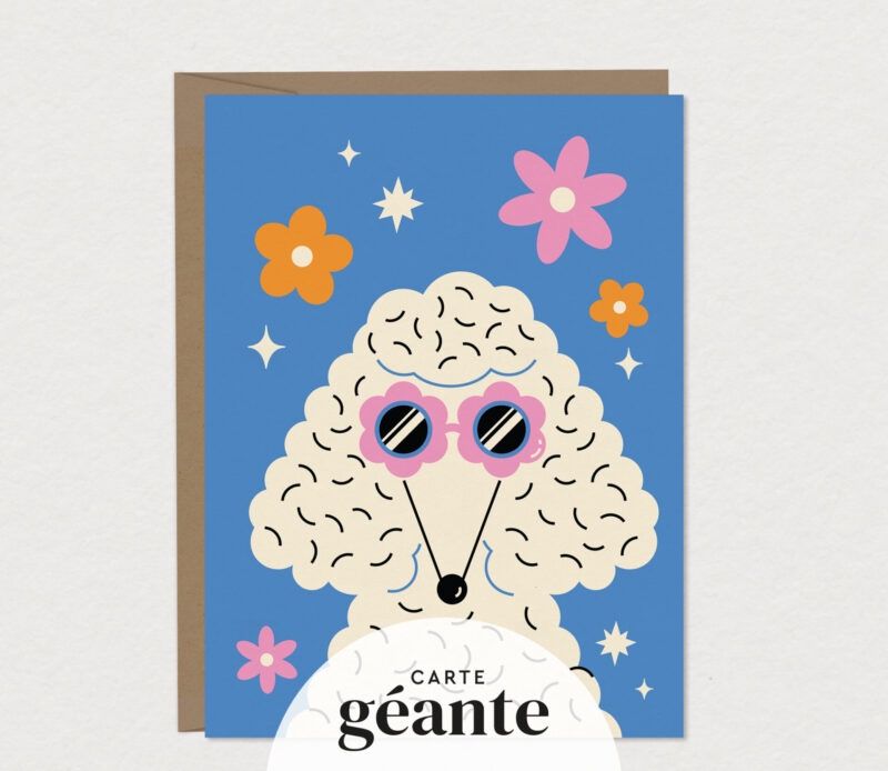 Carte géante – Canichette