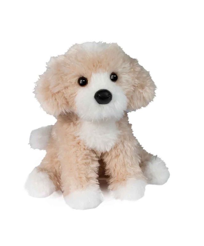 Darcy Golden Doodle