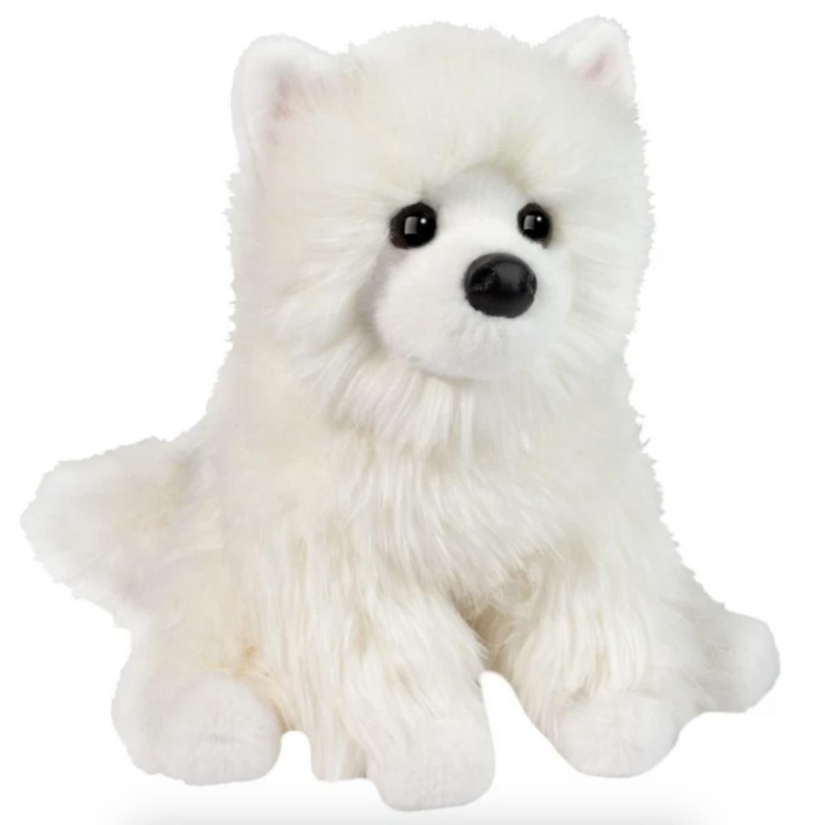 Poméranien blanc Opo