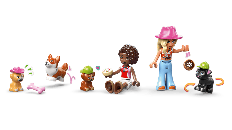 42677 / Friends - La boutique de friandises pour chien