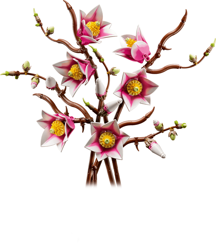 11510 / Les branches de magnolia