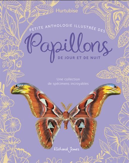 Petite anthologie illustrée des papillons de jour et de nuit : une collection de spécimens incroyables