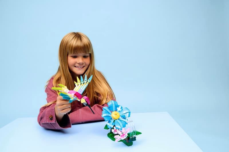 31384 / Les animaux sauvages : le colibri coloré