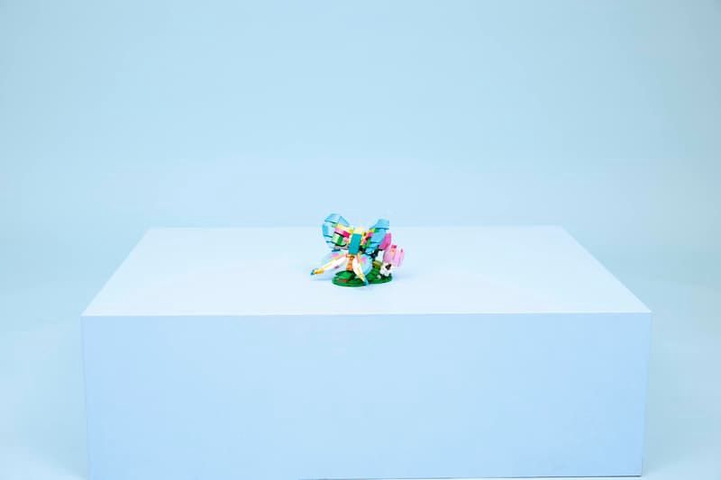 31384 / Les animaux sauvages : le colibri coloré