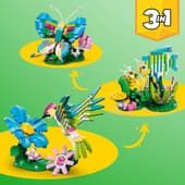 31384 / Les animaux sauvages : le colibri coloré