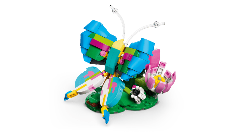 31384 / Les animaux sauvages : le colibri coloré