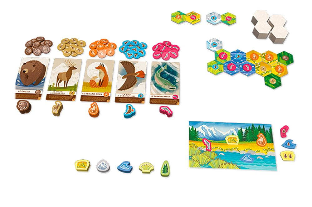 Cascadia Junior (FR)