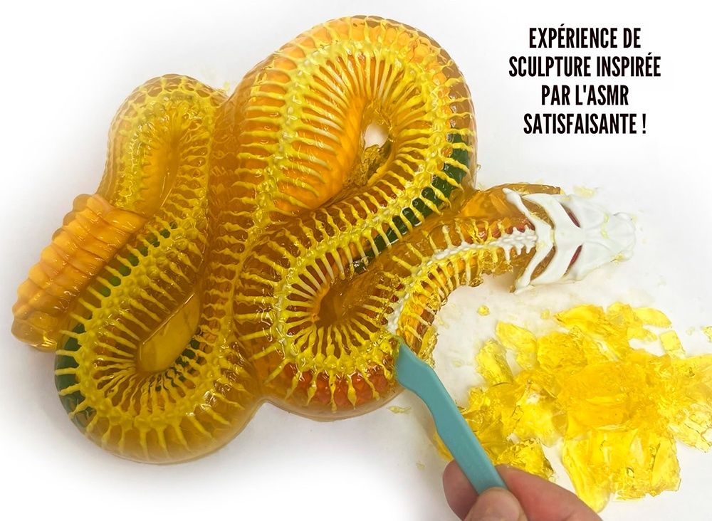 Dissect-it / Super Lab Serpent à Sonnette