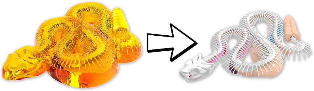 Dissect-it / Super Lab Serpent à Sonnette