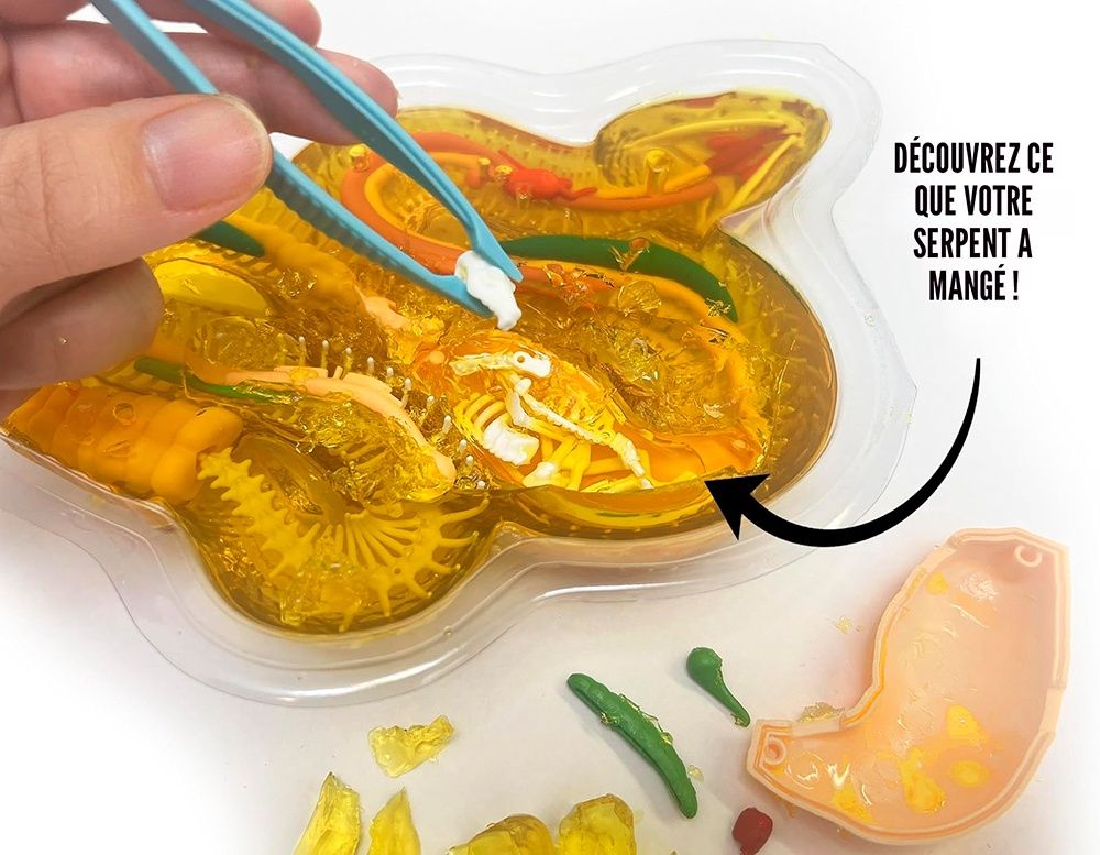 Dissect-it / Super Lab Serpent à Sonnette