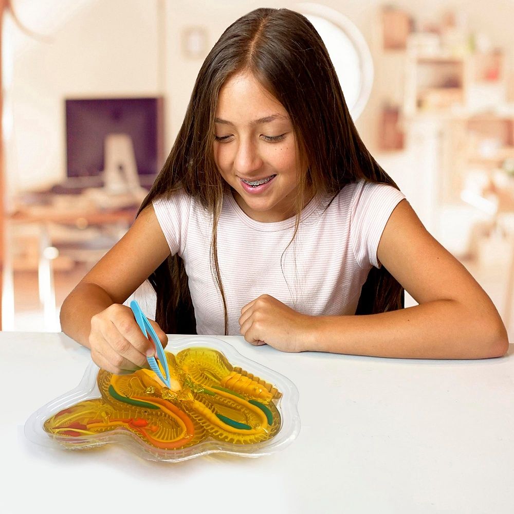 Dissect-it / Super Lab Serpent à Sonnette