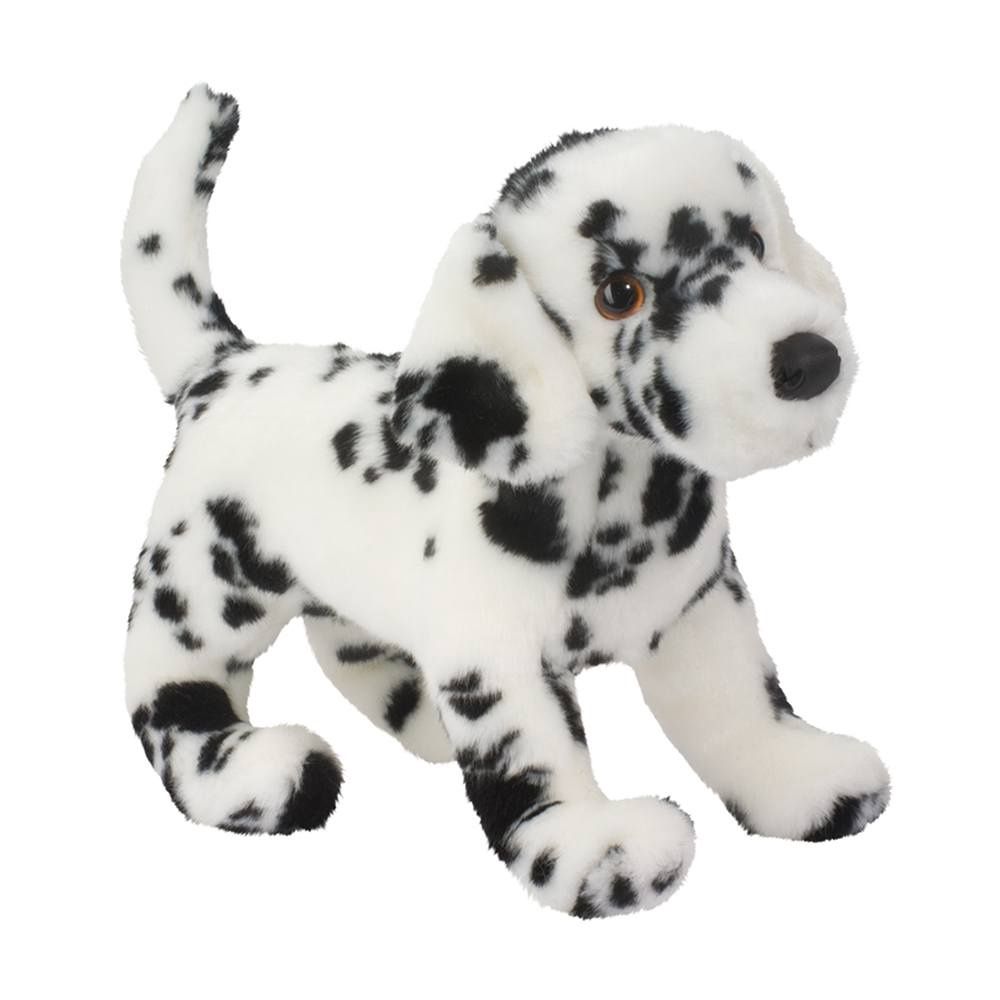 Winston Dalmatien