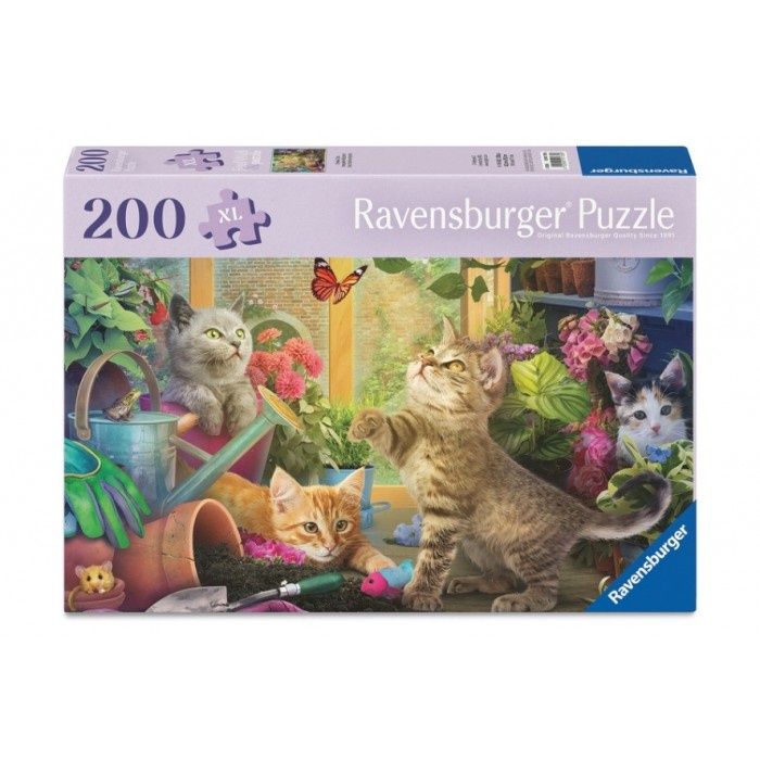 C.T. - Châtons enjoués (200 mcx - XL)