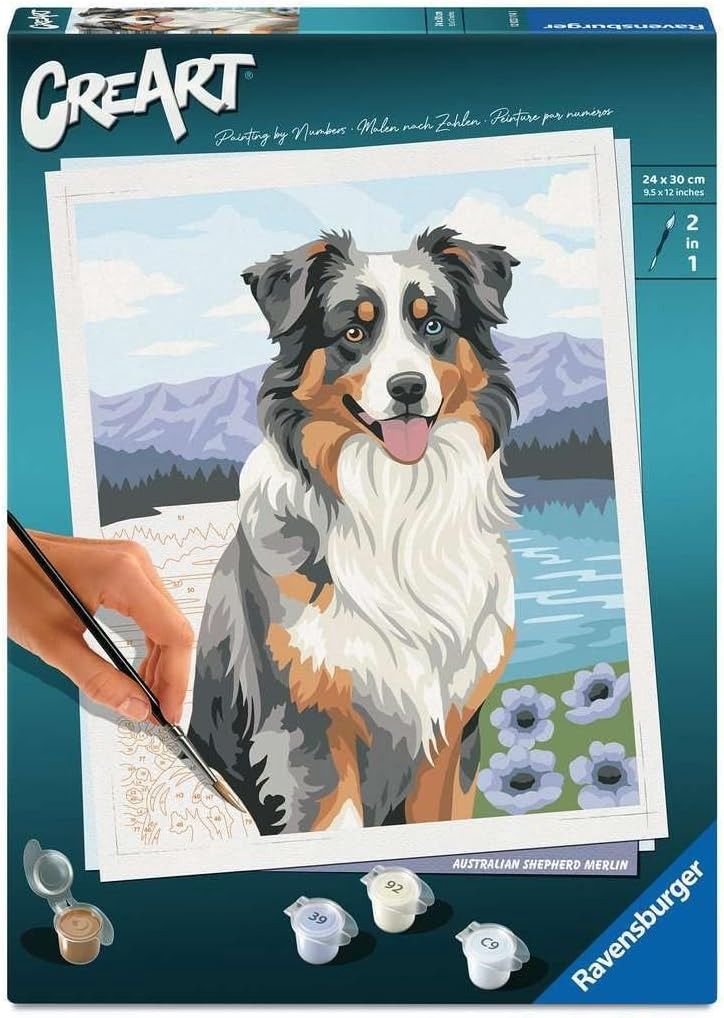 CREART - Peinture à numéros / Berger australien