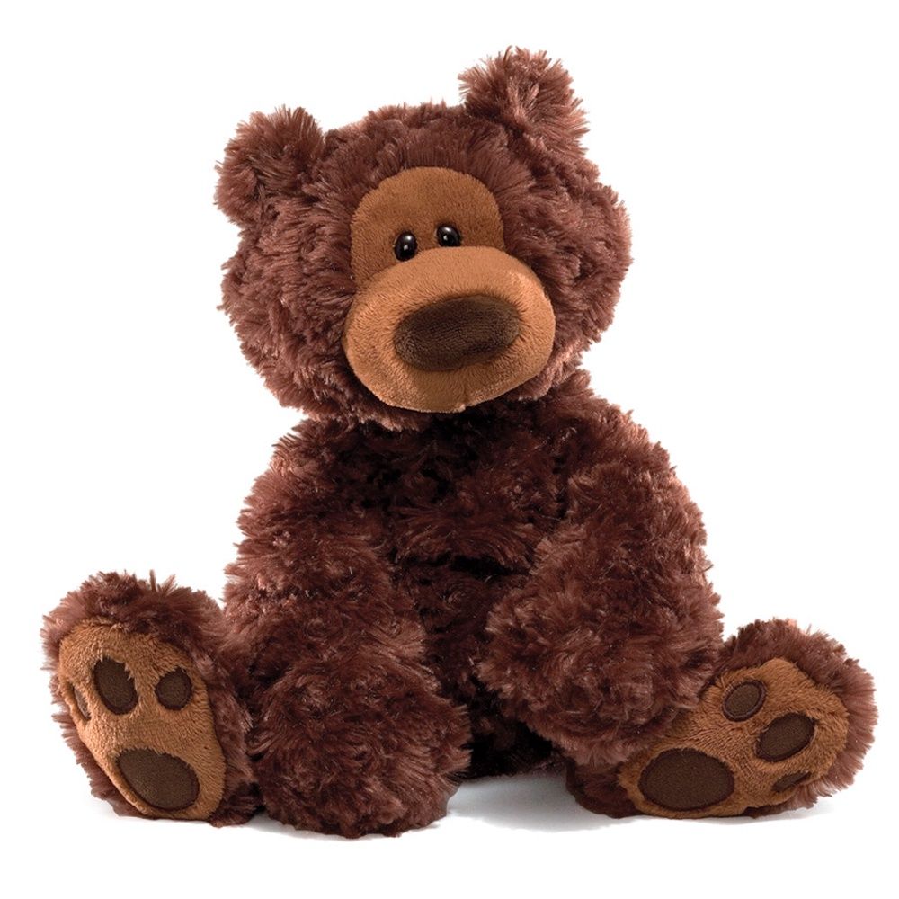 GUND Forever Friends™ - Philbin l'ours en peluche (30.5 cm)