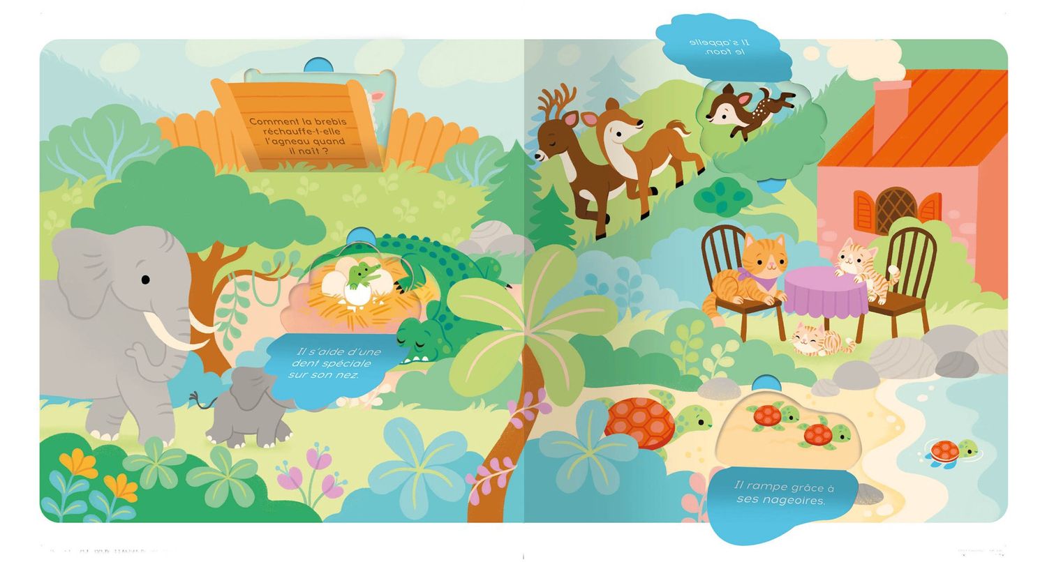P'tit touche à tout / Les Bébés Animaux