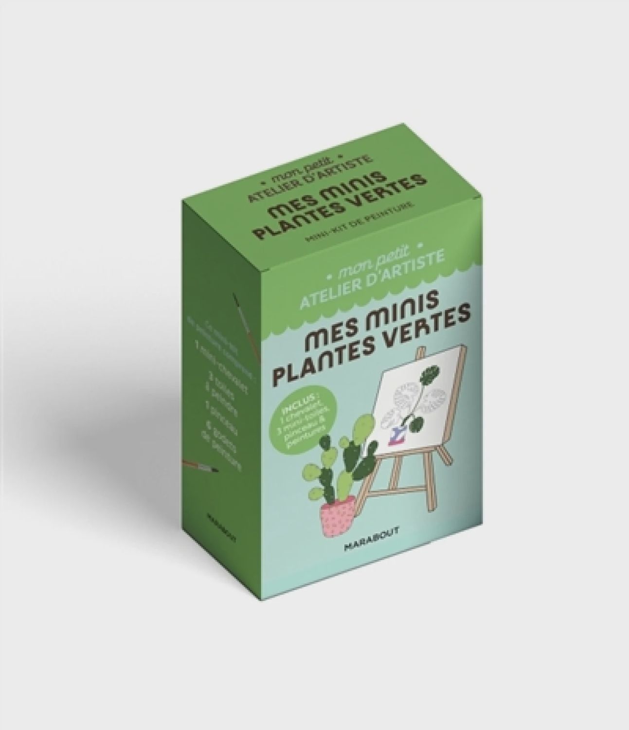 Mes minis plantes vertes : Mon petit atelier d'artiste