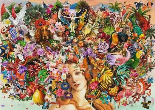 C.T. - Passion pour les puzzles (1000mcx)