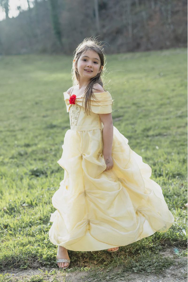 Il était une fois une robe de princesse  5-6