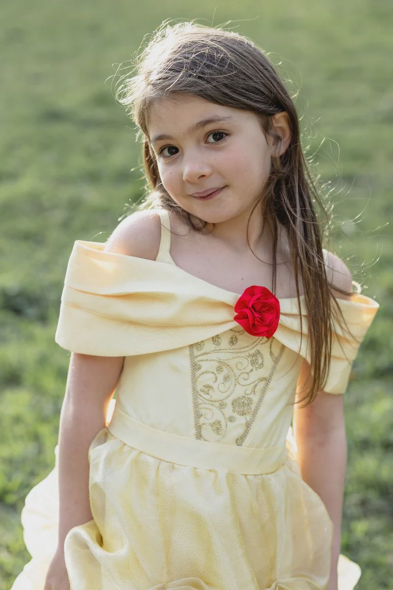 Il était une fois une robe de princesse  5-6