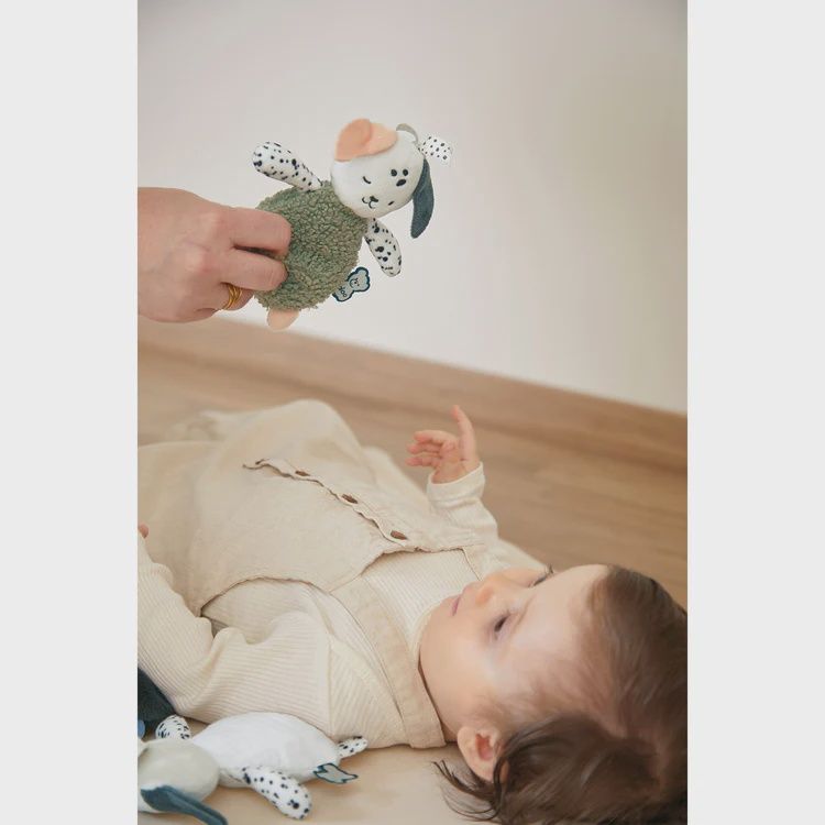 Stimuli: Doudou Sensorielle Chiens