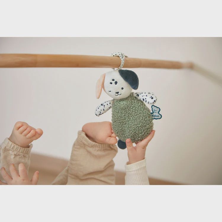 Stimuli: Doudou Sensorielle Chiens