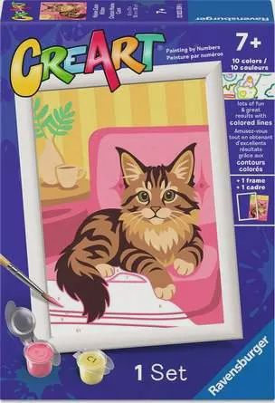 Peinture par numéros pour enfants - Contours colorés - Chaton Maine Coon