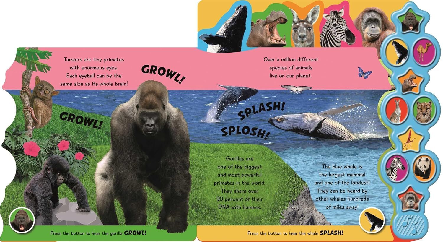 Animaux Incroyables / livre sonore