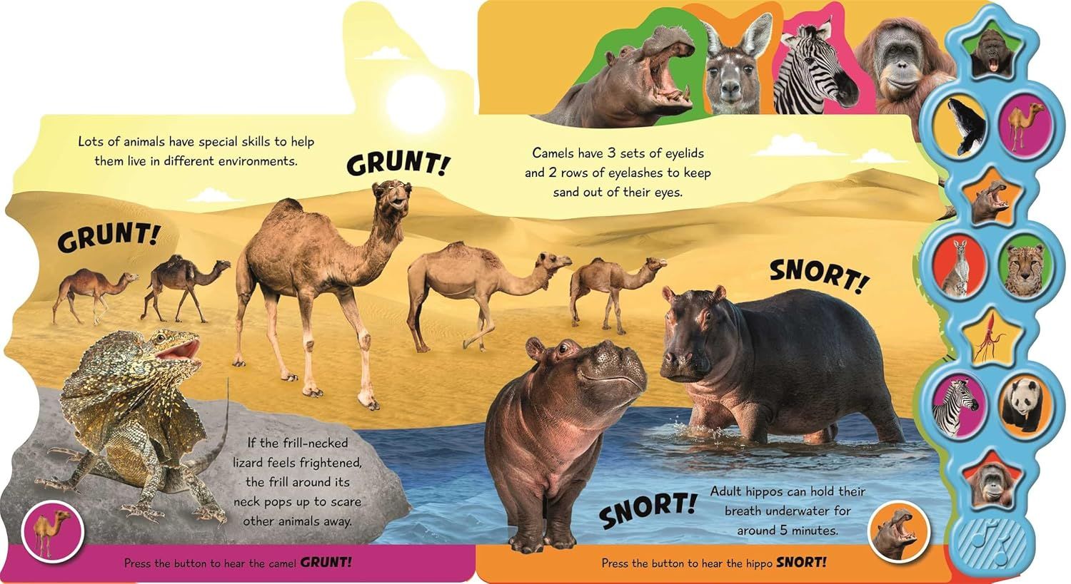 Animaux Incroyables / livre sonore