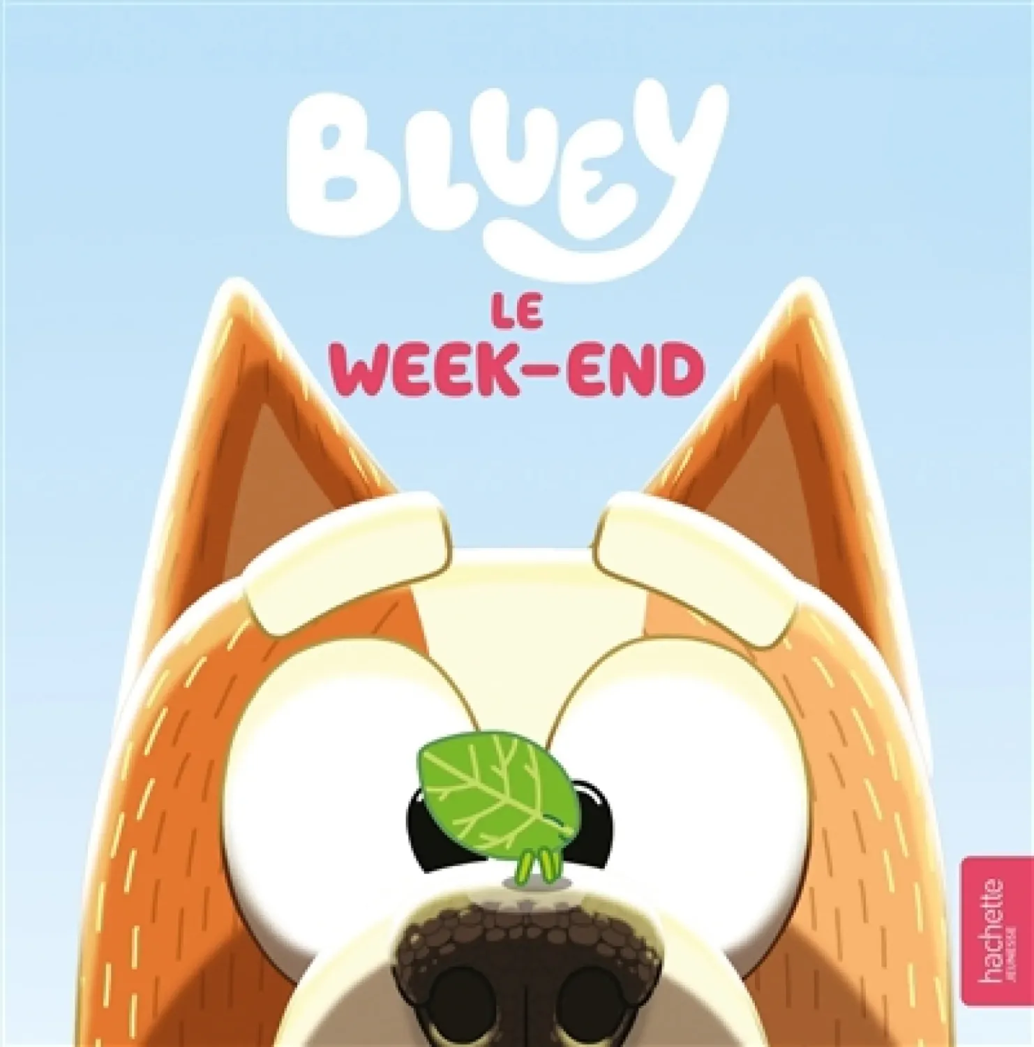 Bluey / Le week-end