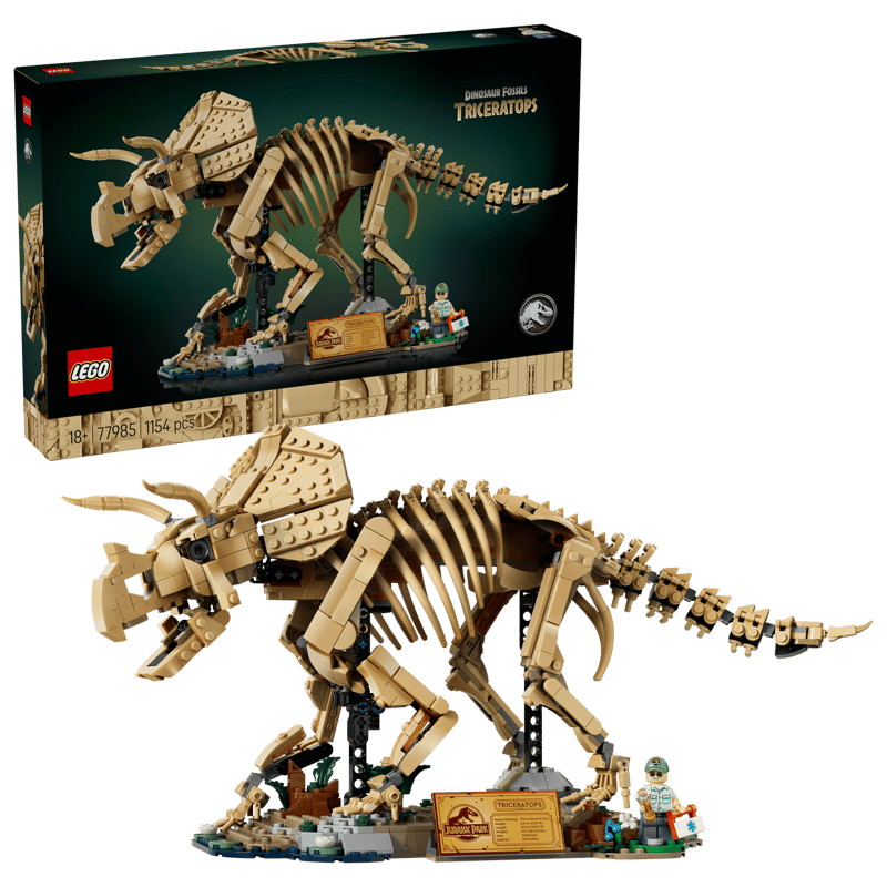 77985 / Les fossiles de dinosaures : le tricératops