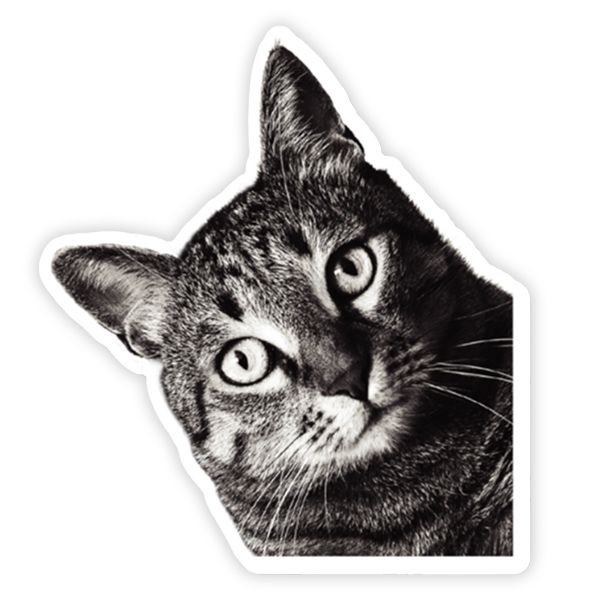 Sticker you / Corner Peeping Cat