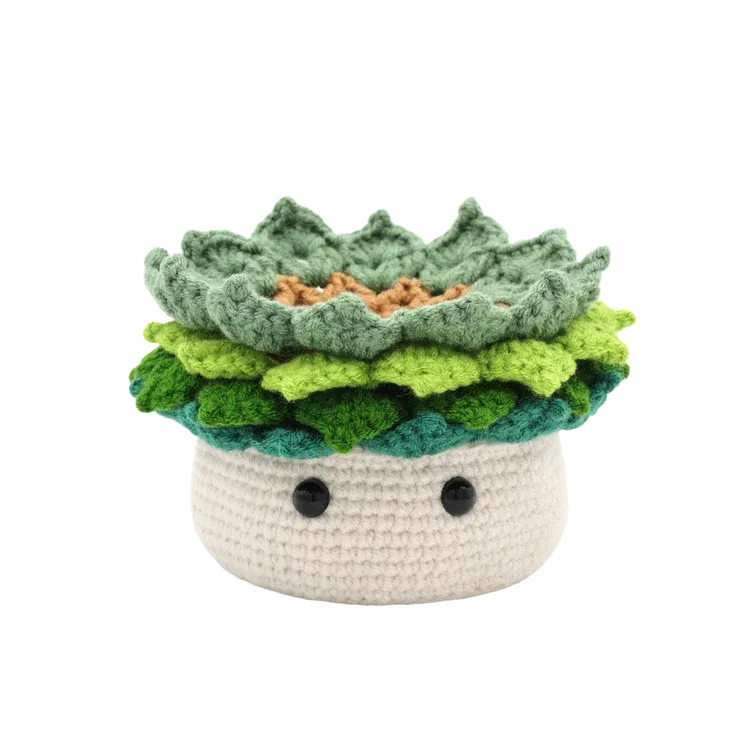 Kit DIY Crochet / Plante