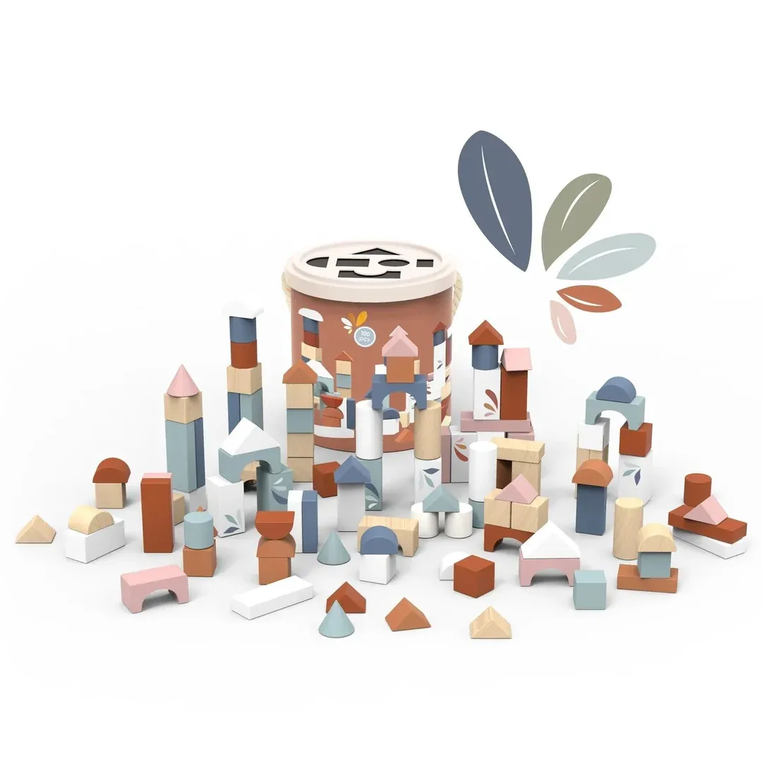Blocs de construction (100 pièces)