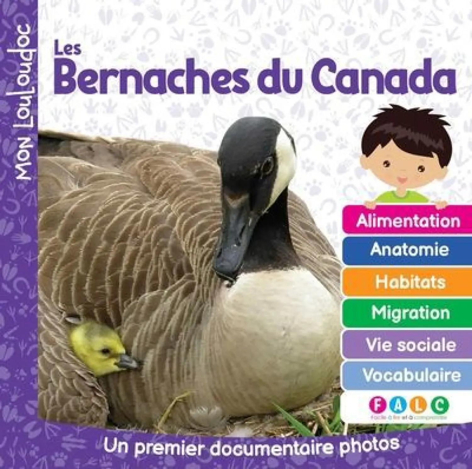 Les bernaches du Canada : Un premier documentaire photos