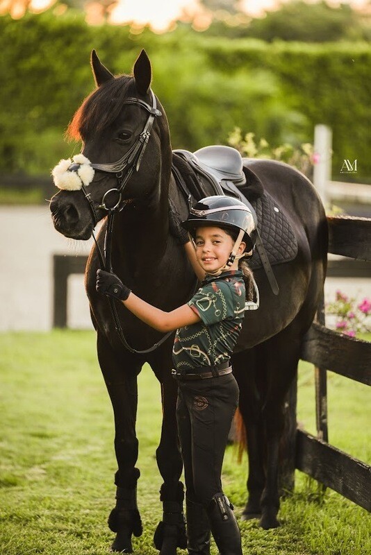 Dainty Bridle - Elite Domino Jaguar