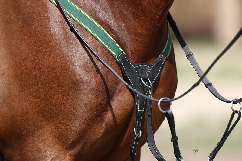 Breastplate - Balmoral