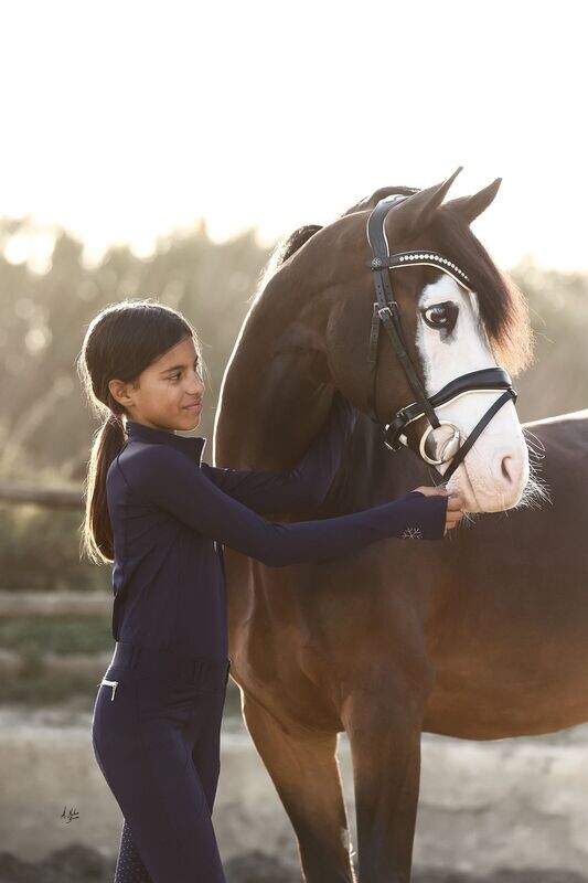 Bridle - Prestige Kenzy