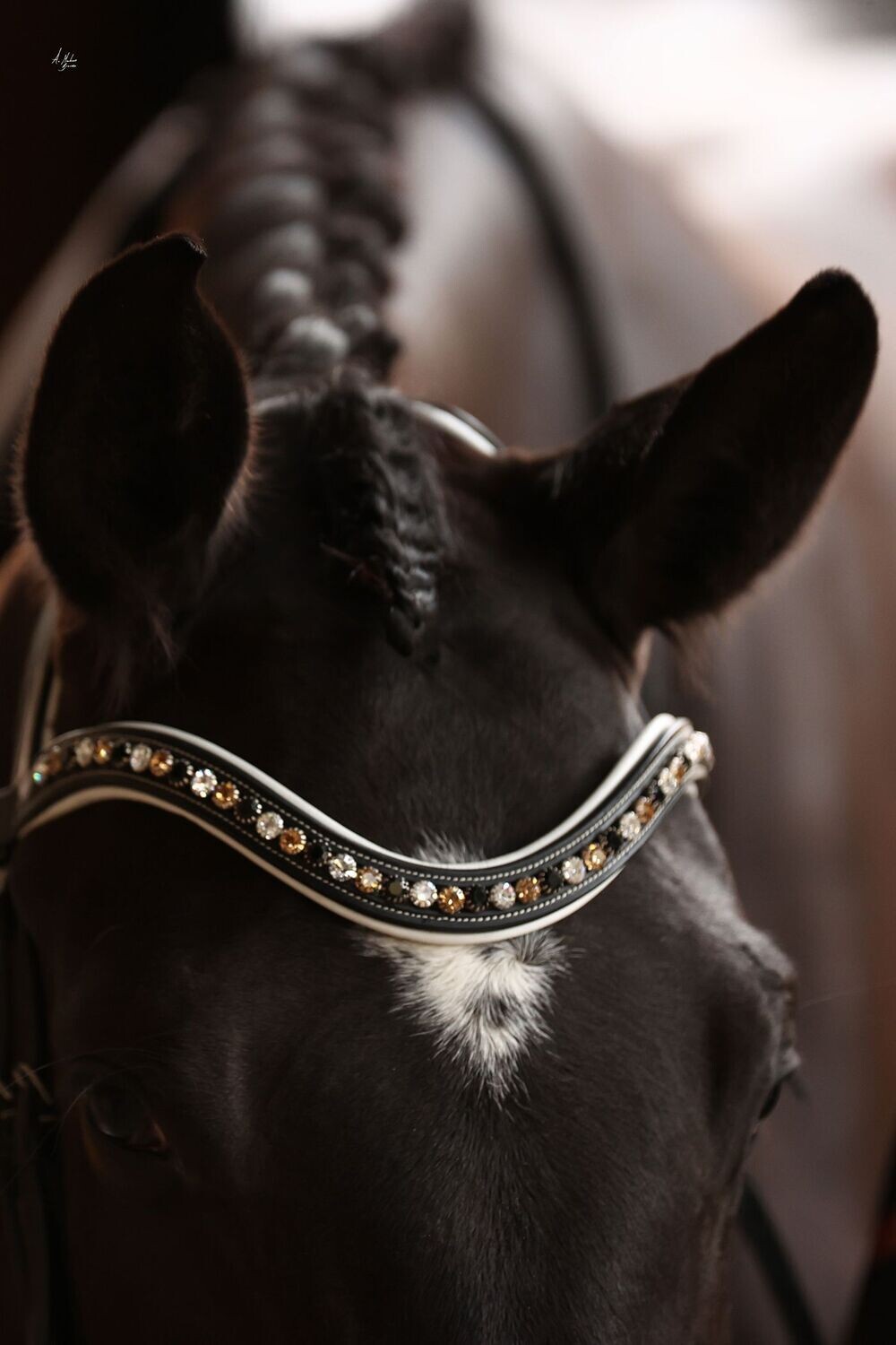 Browband - Elite Picassi