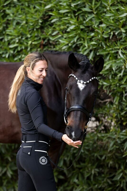 Bridle - Elite Orca