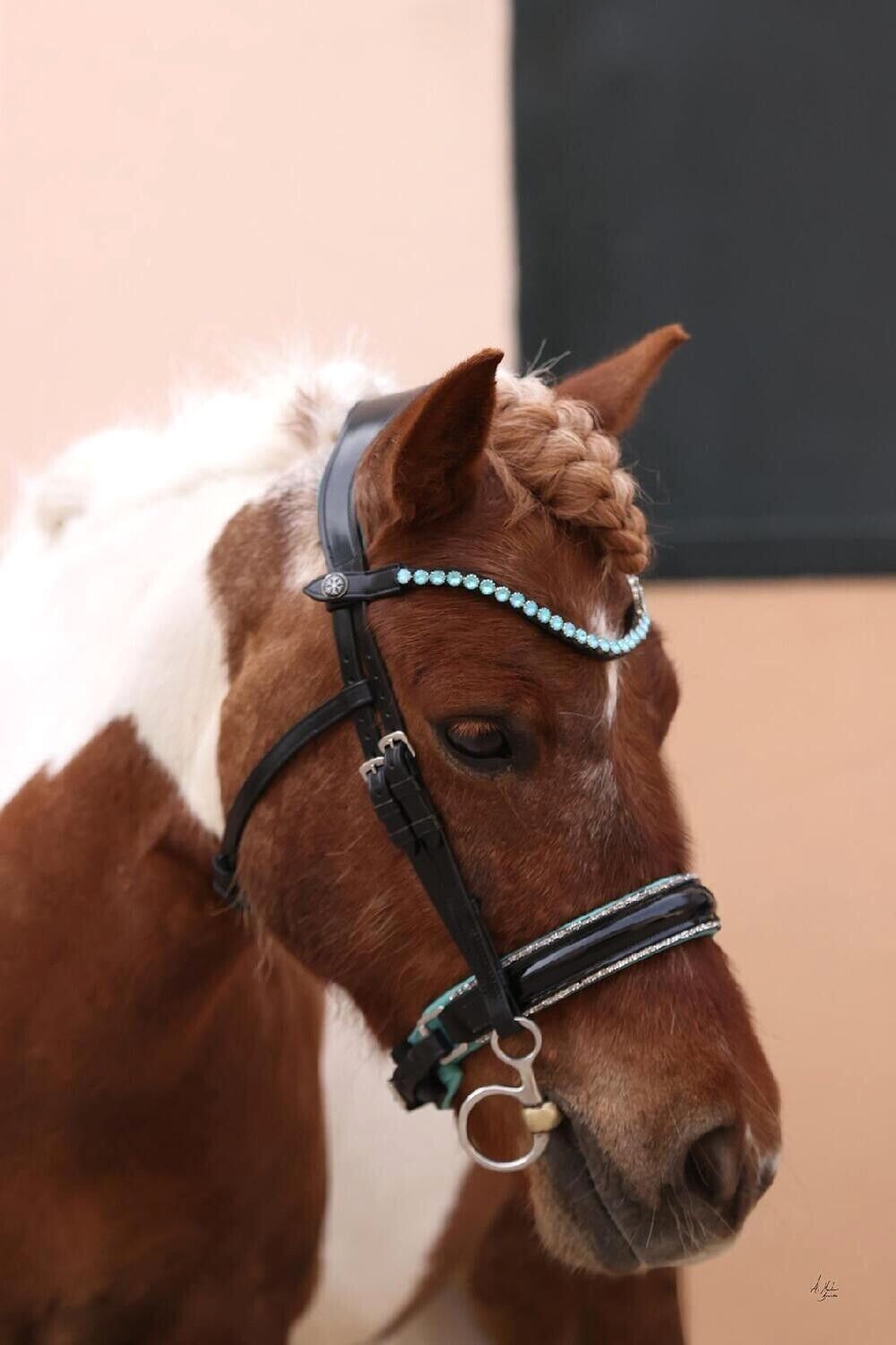 Browband - Elite Ice Ocean
