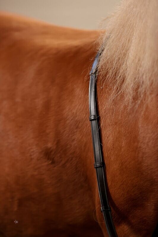 Reins Anti-Slip -  Elite Domino