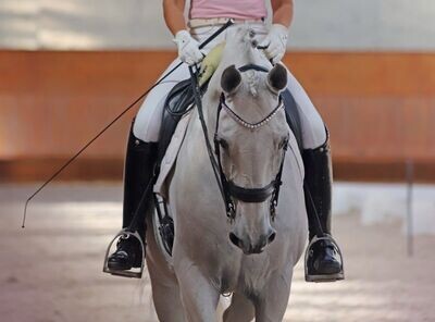 Sale Browbands