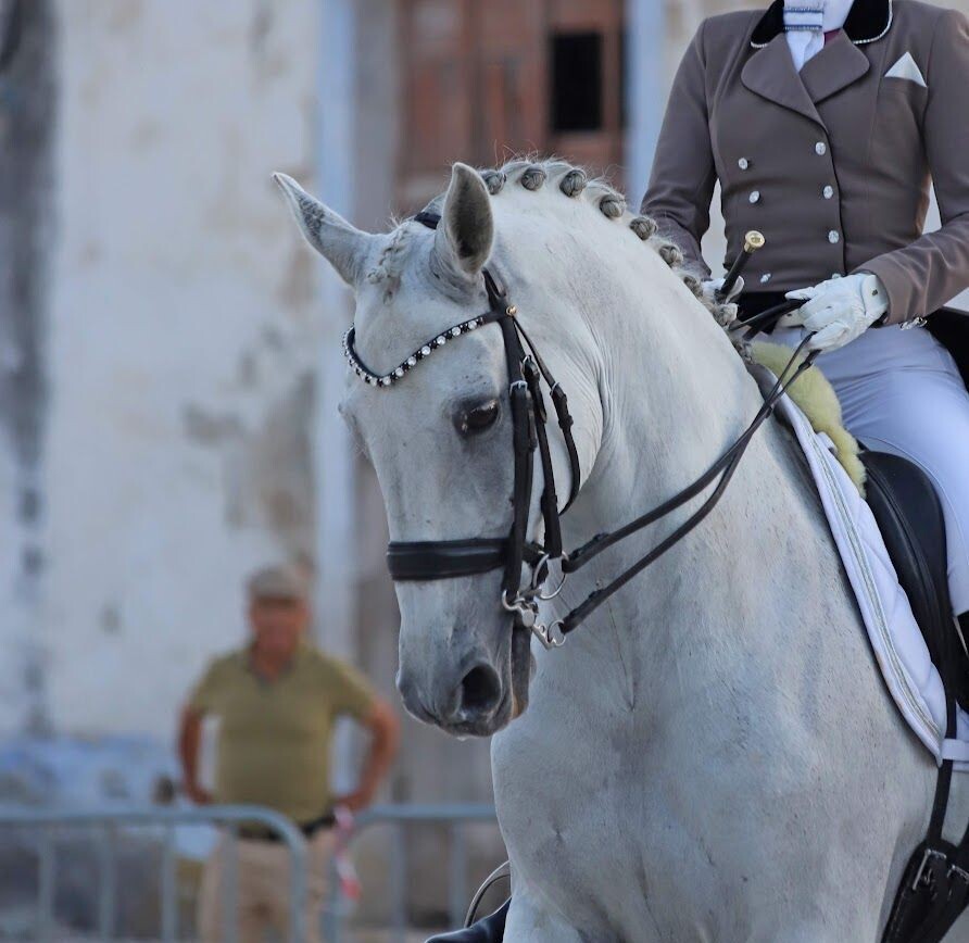 Browband Swarovski Elite Kazkyda